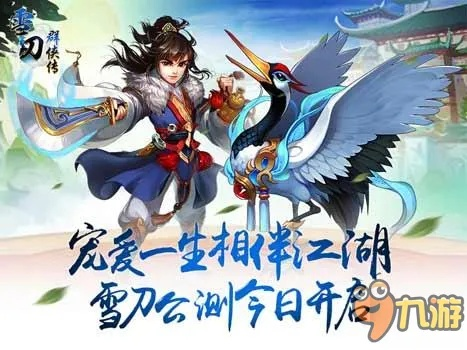 鸳刀手游及冰点下载激活码选择指南，为入门级与专业级用户量身定制