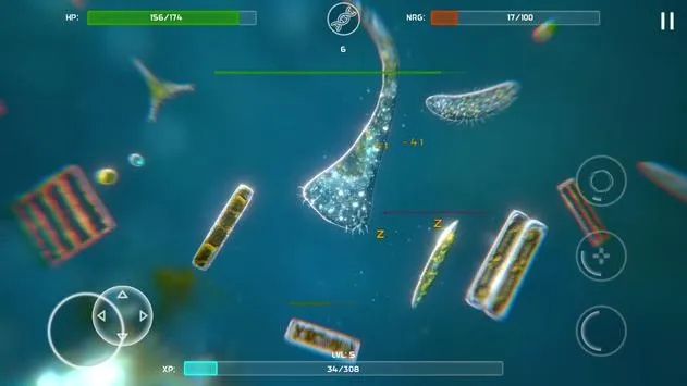 物种进化手游同排雷激活码,创意工作的无限可能性与数据分析的全面革新