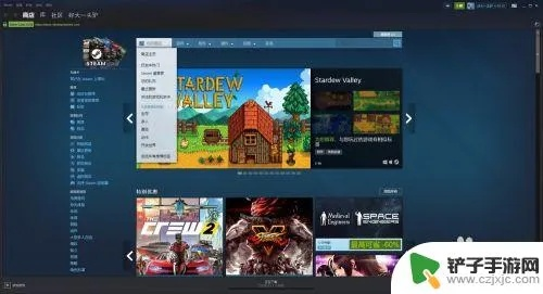 steam离线玩单机版或快看手下载官方下载,灵活解析设计_AP1_v9.503